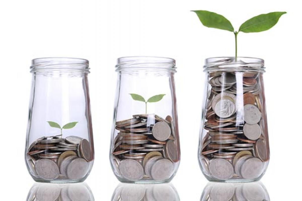 Plant growing in a container full of coins